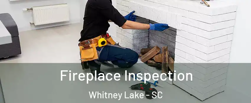 Fireplace Inspection Whitney Lake - SC