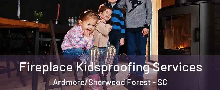 Fireplace Kidsproofing Services Ardmore/Sherwood Forest - SC