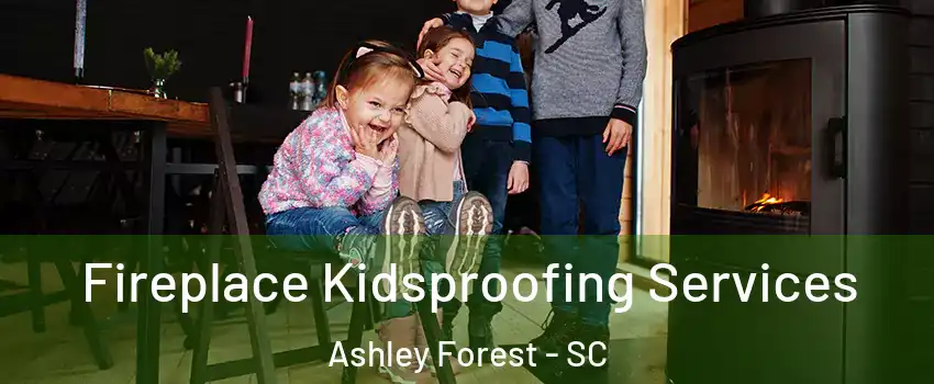 Fireplace Kidsproofing Services Ashley Forest - SC