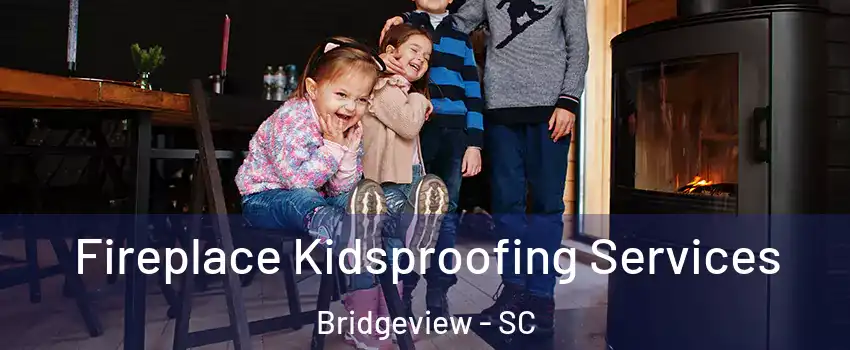 Fireplace Kidsproofing Services Bridgeview - SC