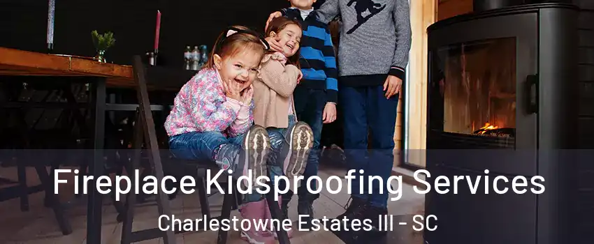 Fireplace Kidsproofing Services Charlestowne Estates III - SC