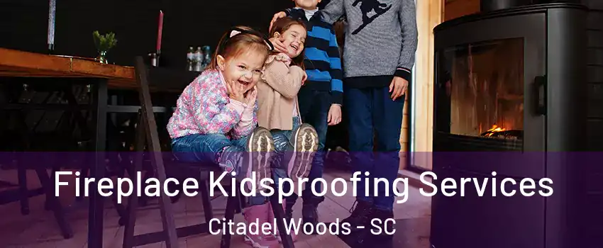 Fireplace Kidsproofing Services Citadel Woods - SC