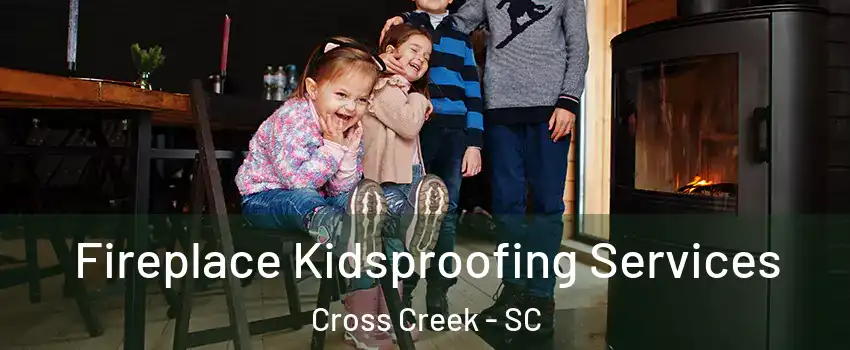 Fireplace Kidsproofing Services Cross Creek - SC