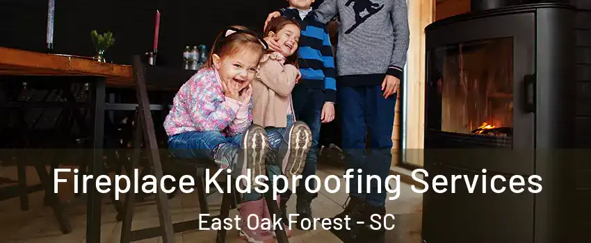 Fireplace Kidsproofing Services East Oak Forest - SC