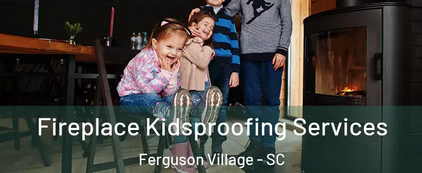 Fireplace Kidsproofing Services Ferguson Village - SC