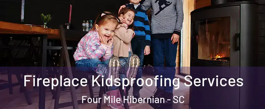 Fireplace Kidsproofing Services Four Mile Hibernian - SC