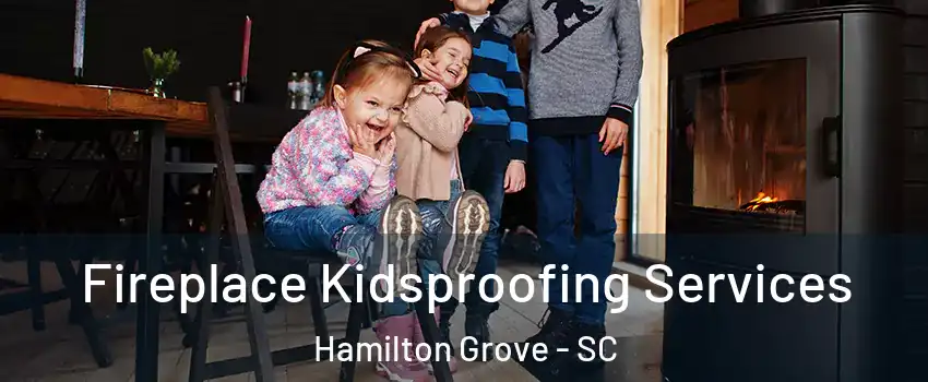 Fireplace Kidsproofing Services Hamilton Grove - SC