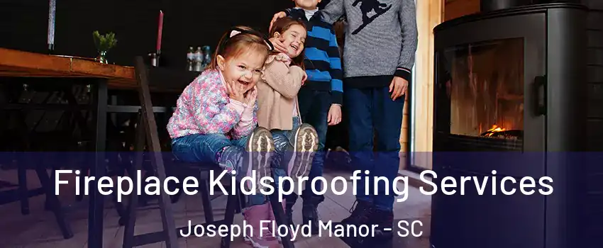 Fireplace Kidsproofing Services Joseph Floyd Manor - SC