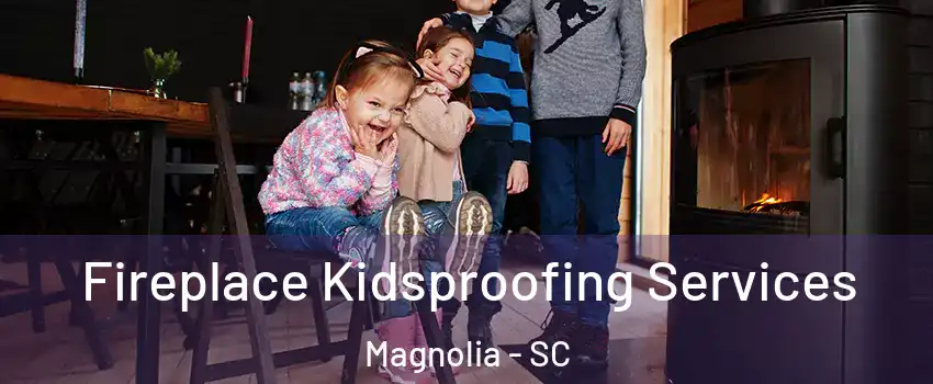 Fireplace Kidsproofing Services Magnolia - SC