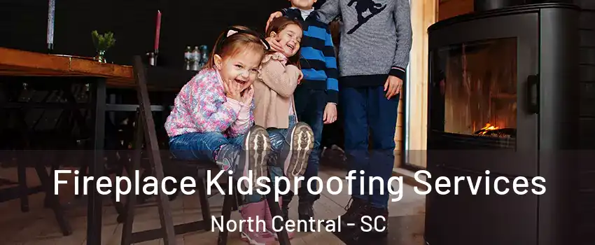 Fireplace Kidsproofing Services North Central - SC