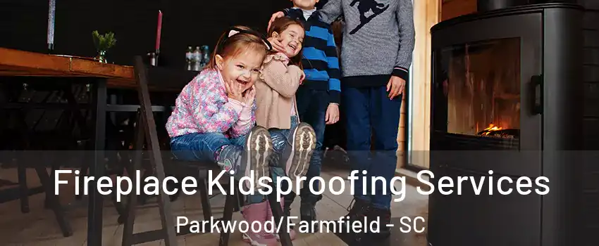 Fireplace Kidsproofing Services Parkwood/Farmfield - SC