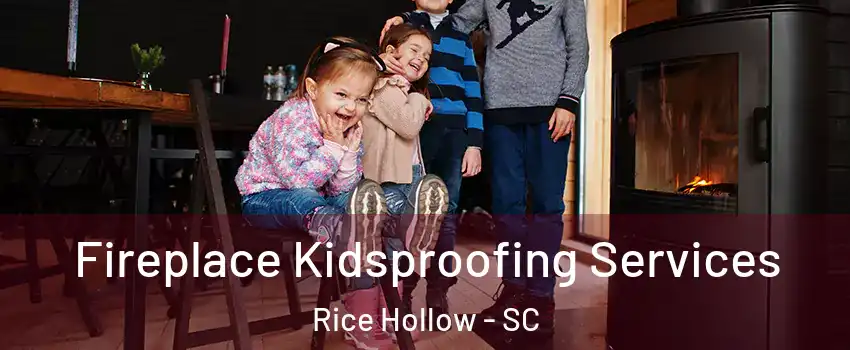 Fireplace Kidsproofing Services Rice Hollow - SC