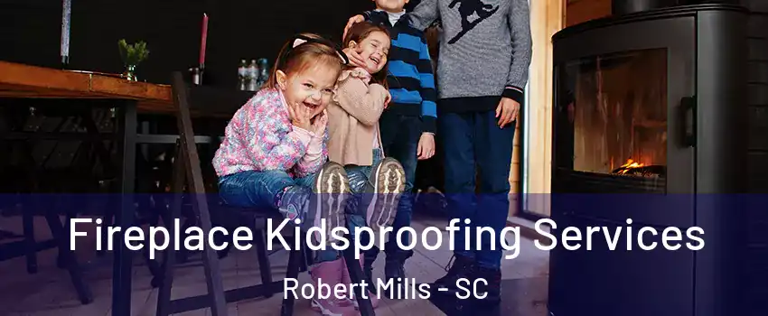 Fireplace Kidsproofing Services Robert Mills - SC