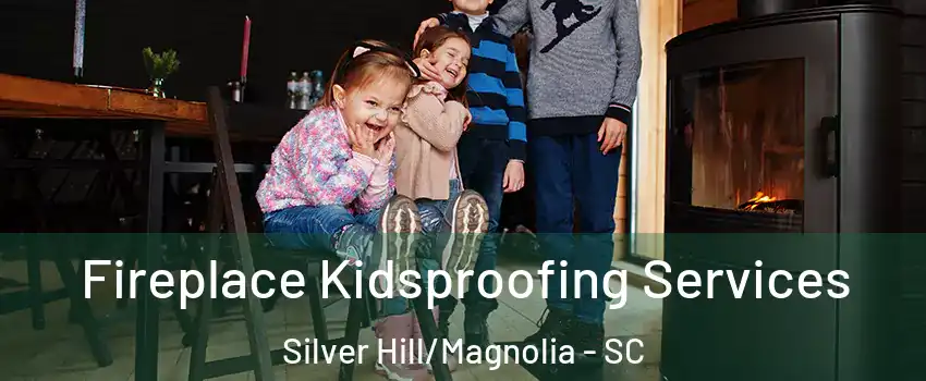 Fireplace Kidsproofing Services Silver Hill/Magnolia - SC