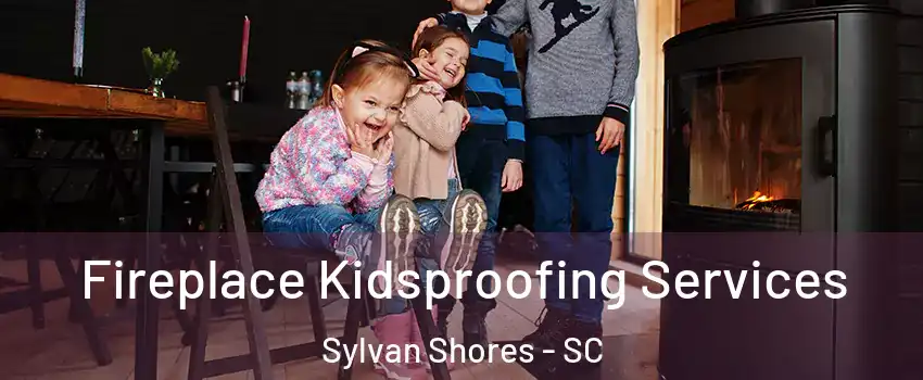 Fireplace Kidsproofing Services Sylvan Shores - SC