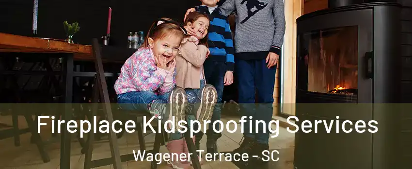 Fireplace Kidsproofing Services Wagener Terrace - SC