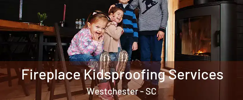 Fireplace Kidsproofing Services Westchester - SC