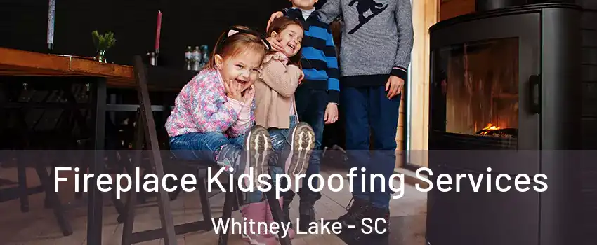 Fireplace Kidsproofing Services Whitney Lake - SC