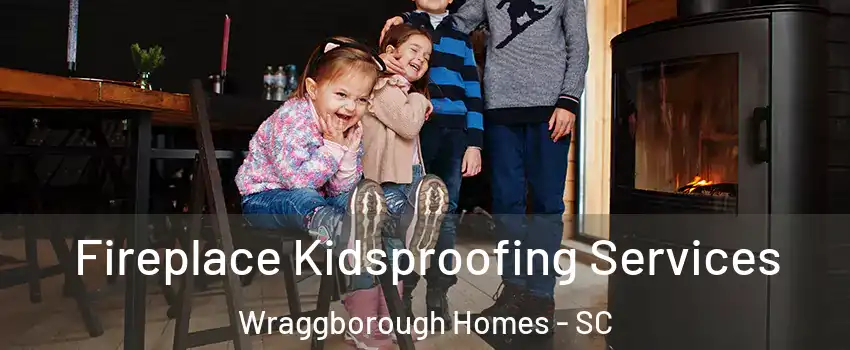 Fireplace Kidsproofing Services Wraggborough Homes - SC