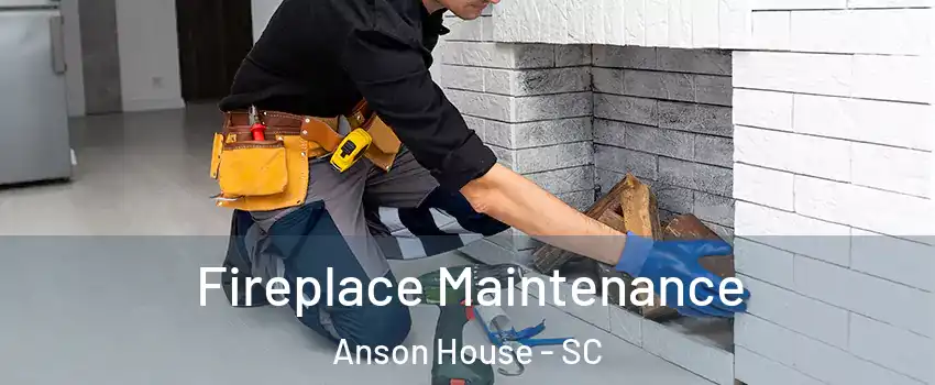 Fireplace Maintenance Anson House - SC