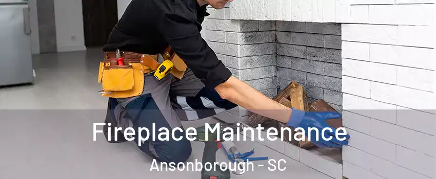 Fireplace Maintenance Ansonborough - SC