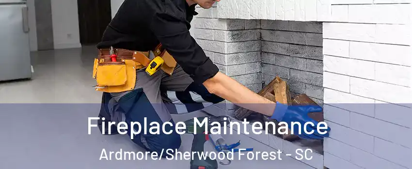 Fireplace Maintenance Ardmore/Sherwood Forest - SC