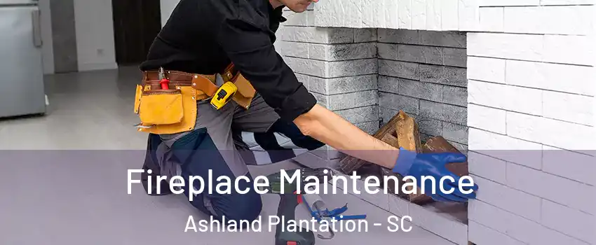 Fireplace Maintenance Ashland Plantation - SC