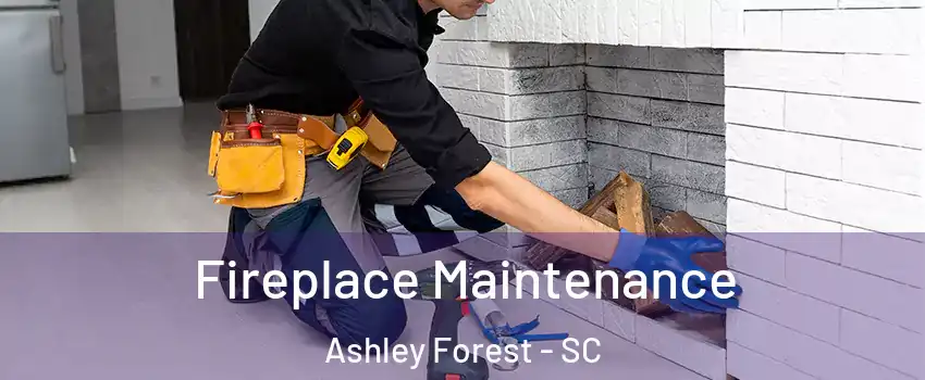 Fireplace Maintenance Ashley Forest - SC