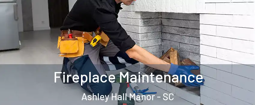 Fireplace Maintenance Ashley Hall Manor - SC