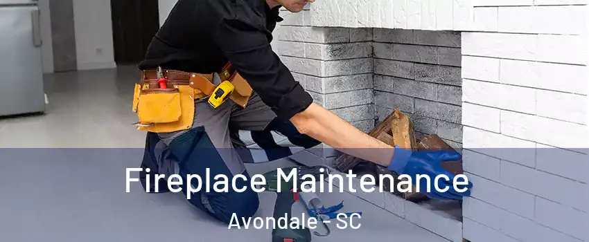 Fireplace Maintenance Avondale - SC