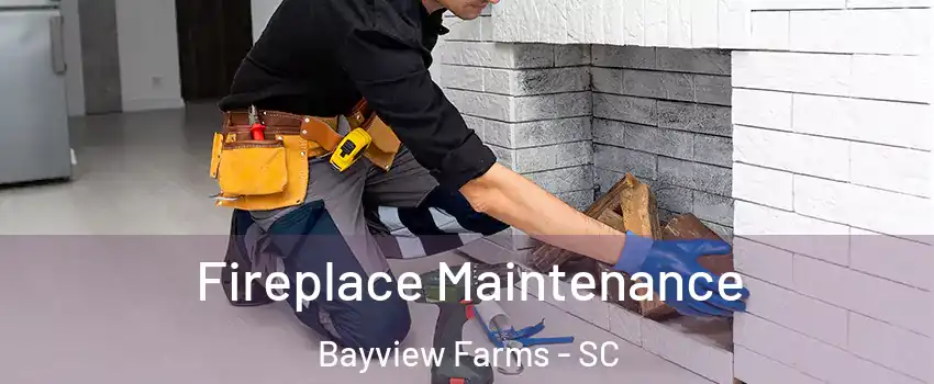 Fireplace Maintenance Bayview Farms - SC