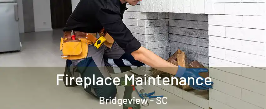 Fireplace Maintenance Bridgeview - SC