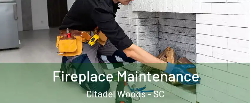 Fireplace Maintenance Citadel Woods - SC