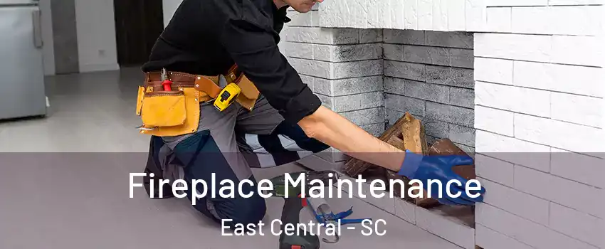 Fireplace Maintenance East Central - SC