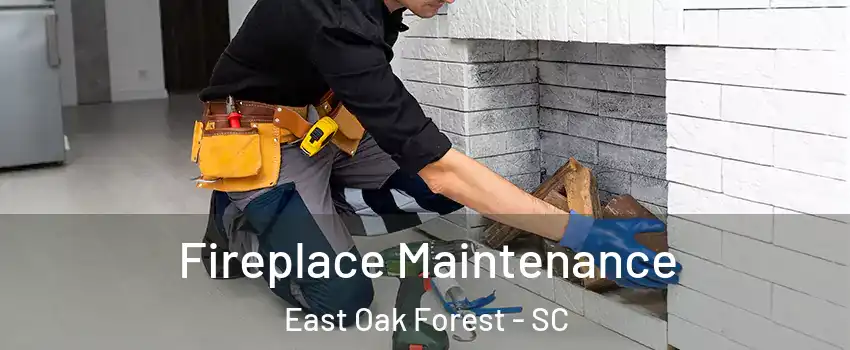 Fireplace Maintenance East Oak Forest - SC