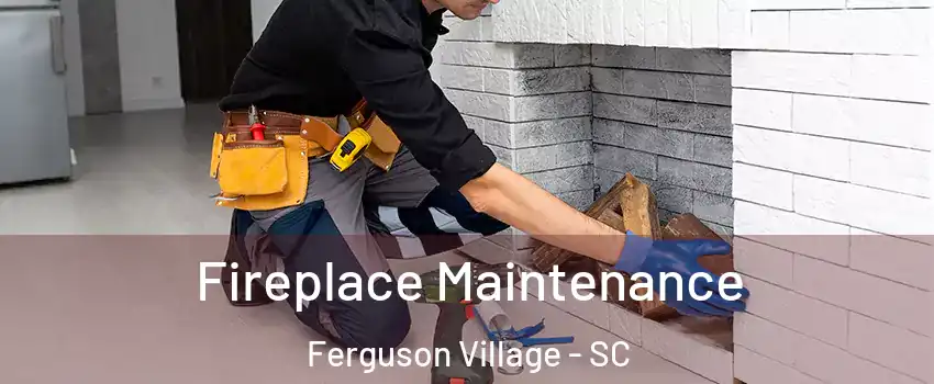 Fireplace Maintenance Ferguson Village - SC