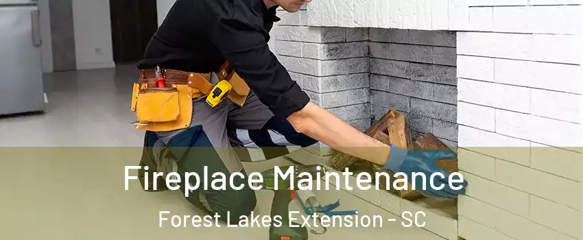 Fireplace Maintenance Forest Lakes Extension - SC