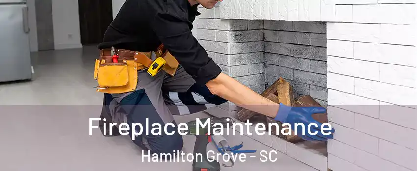 Fireplace Maintenance Hamilton Grove - SC