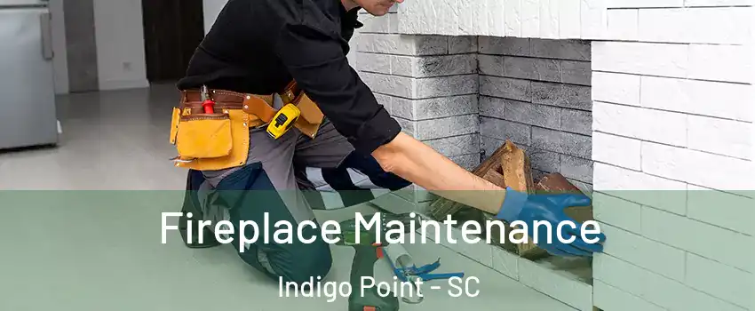 Fireplace Maintenance Indigo Point - SC