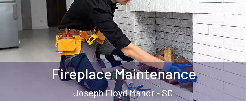 Fireplace Maintenance Joseph Floyd Manor - SC