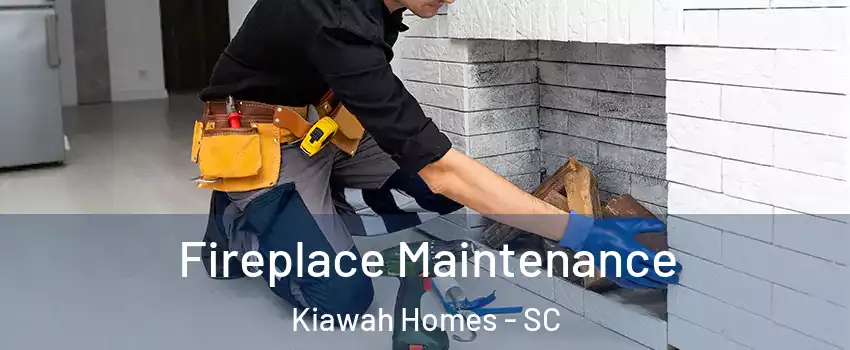 Fireplace Maintenance Kiawah Homes - SC