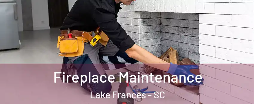 Fireplace Maintenance Lake Frances - SC