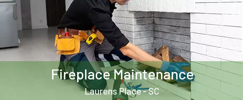 Fireplace Maintenance Laurens Place - SC