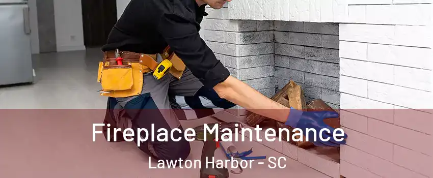 Fireplace Maintenance Lawton Harbor - SC