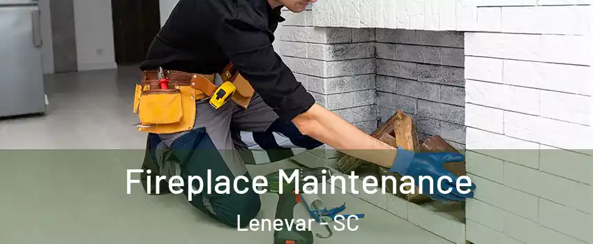 Fireplace Maintenance Lenevar - SC