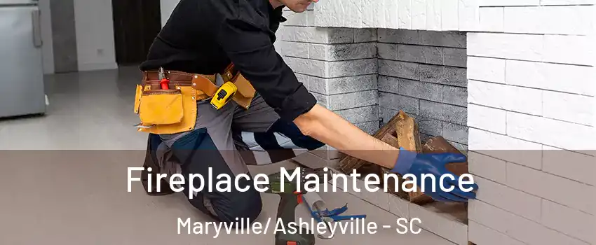 Fireplace Maintenance Maryville/Ashleyville - SC