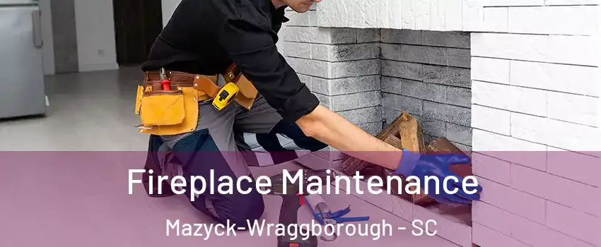 Fireplace Maintenance Mazyck-Wraggborough - SC