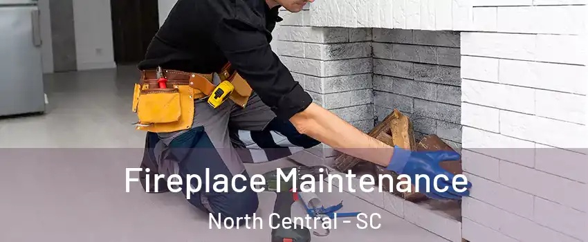 Fireplace Maintenance North Central - SC