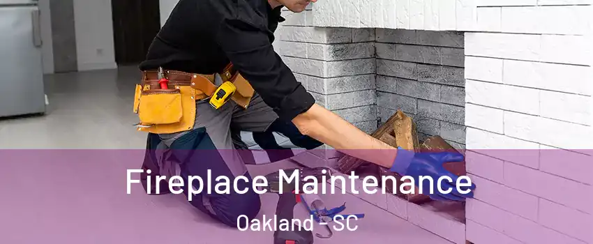 Fireplace Maintenance Oakland - SC