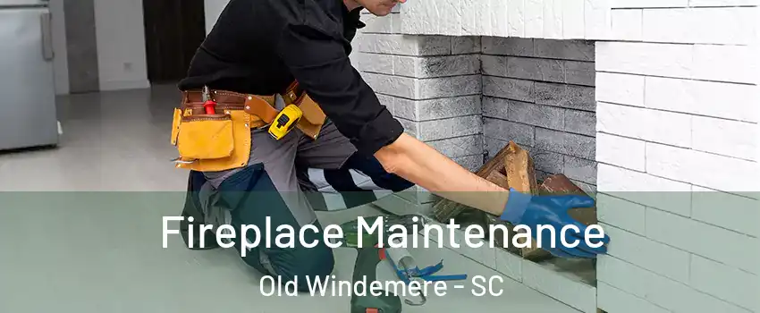 Fireplace Maintenance Old Windemere - SC